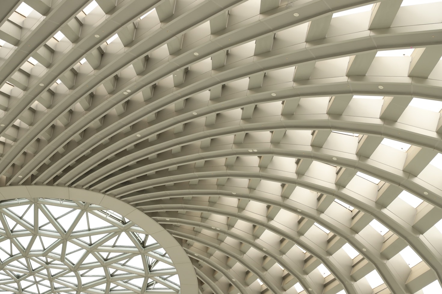 5 Signs You Need Expert Ceiling Services